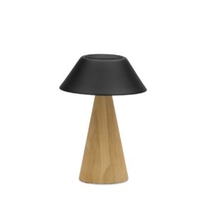 Kiruna (Cone Teak S Cap), светильник антрацит, алюминий тик